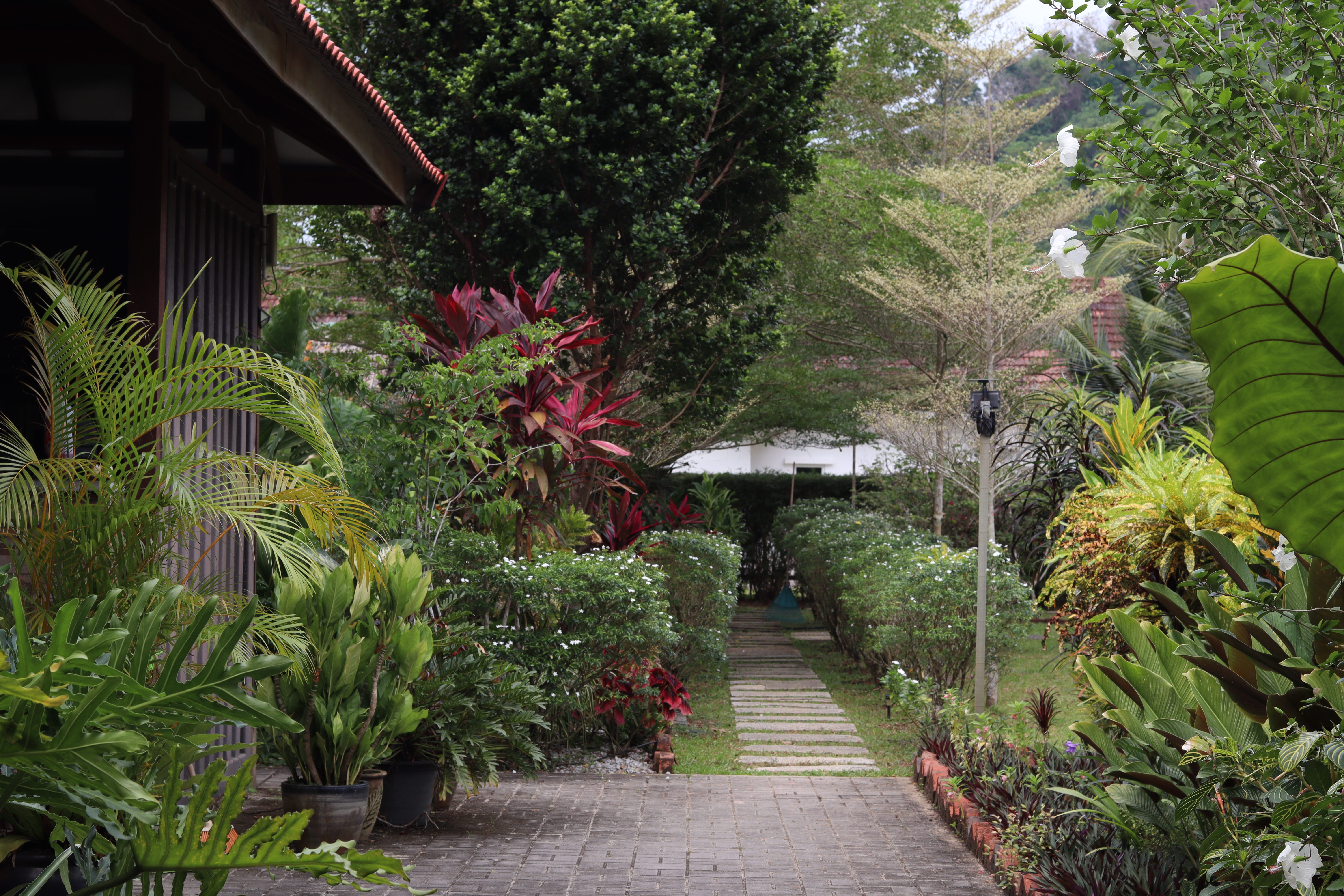 Courtyard seating at Bambu compound near local restaurants