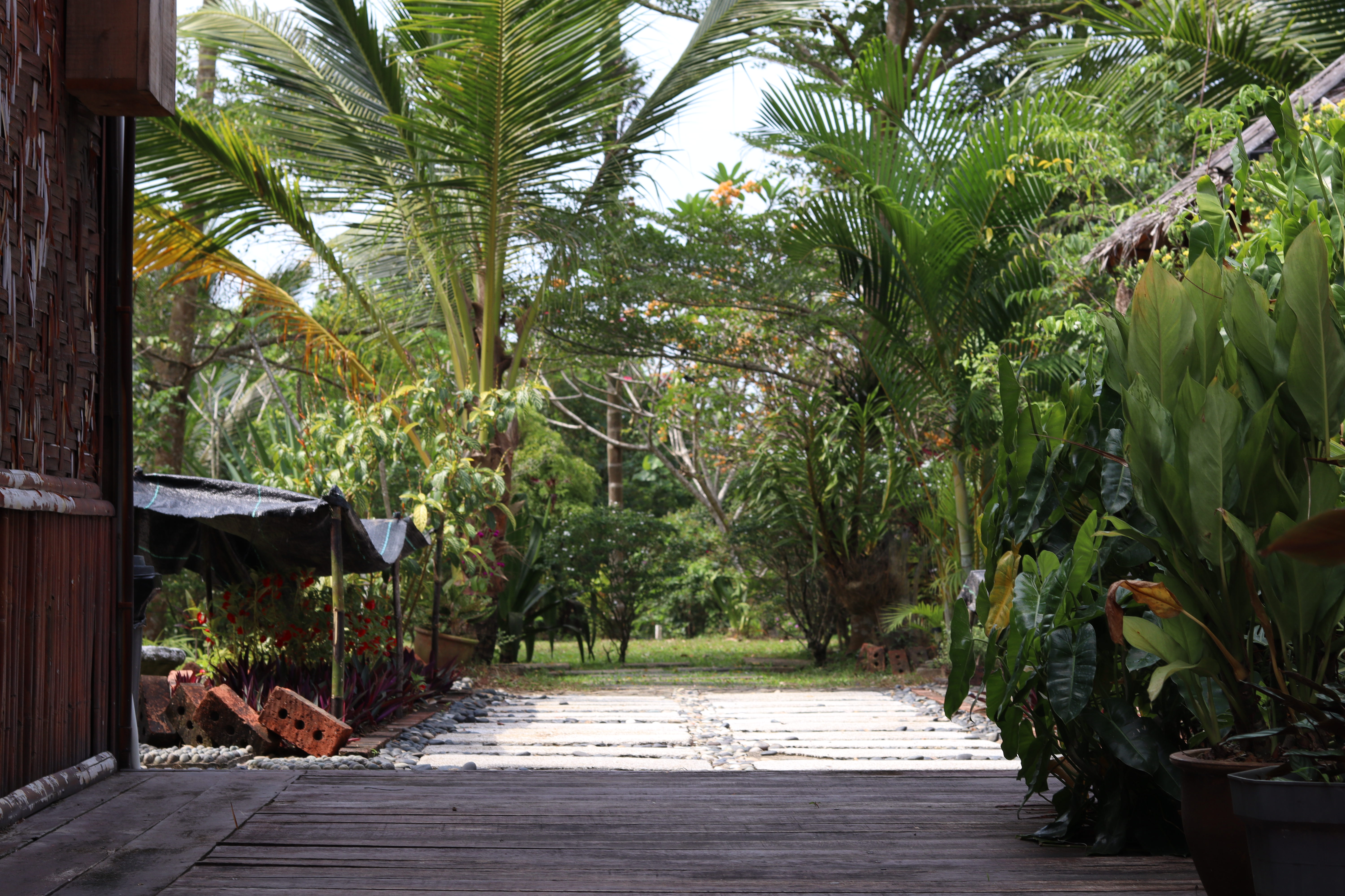 Bambu compound view from the Family Suite