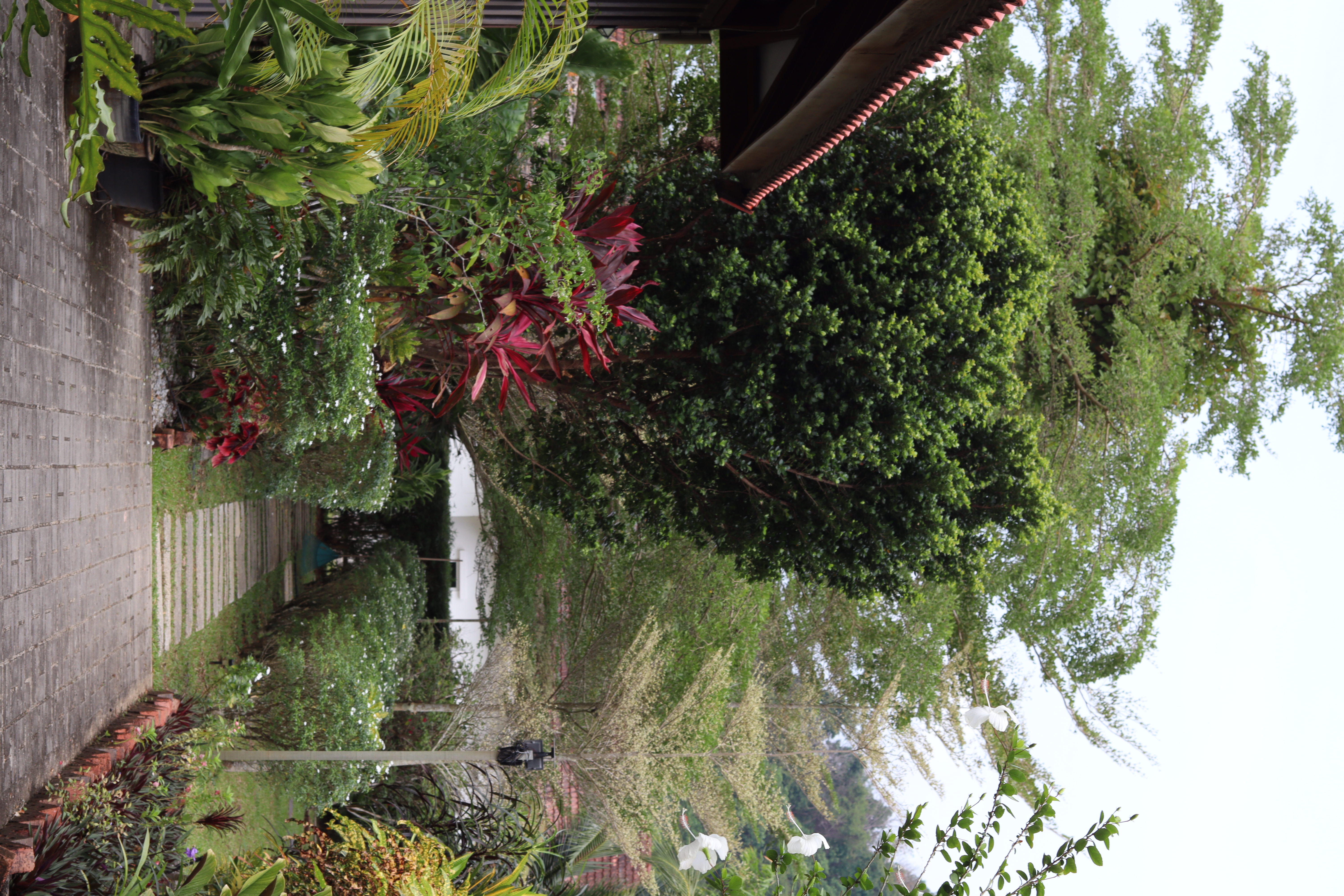 Courtyard view from the Bambu Villa
