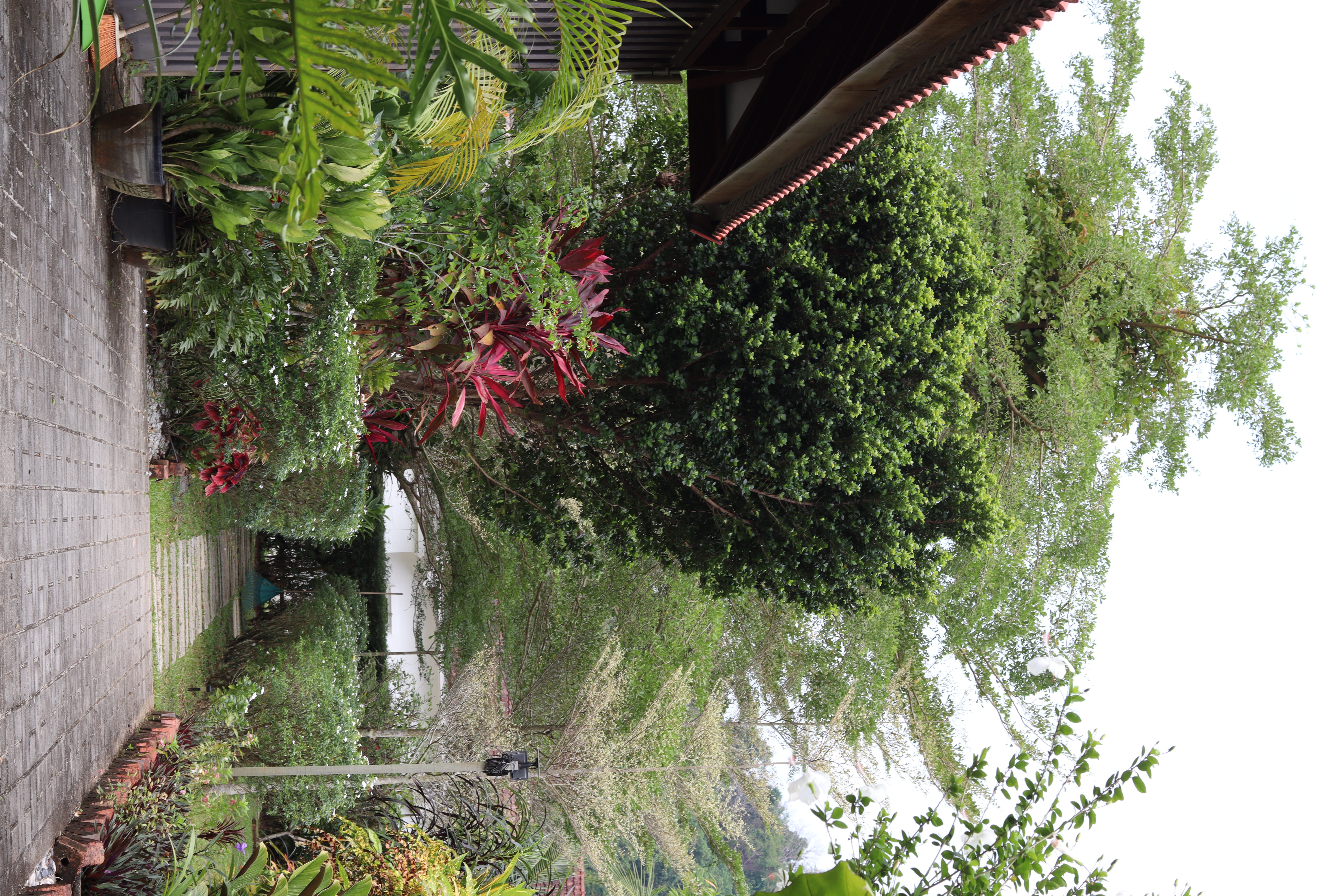 View from the Garden Cabin towards the courtyard